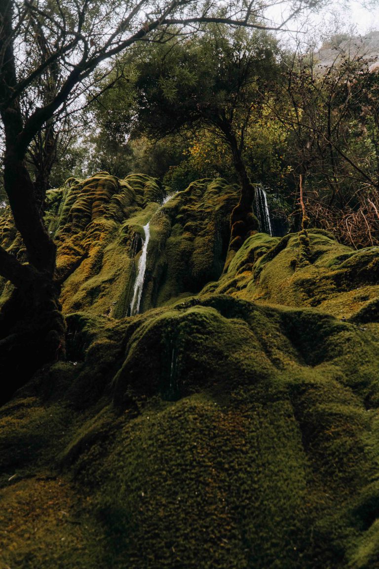 Photo d'une falaise envahi par la mousse avec une cascade