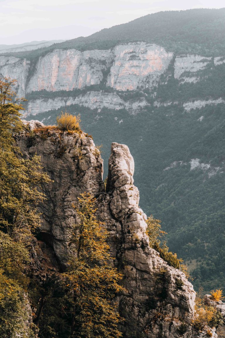 Paysage d'une falaise