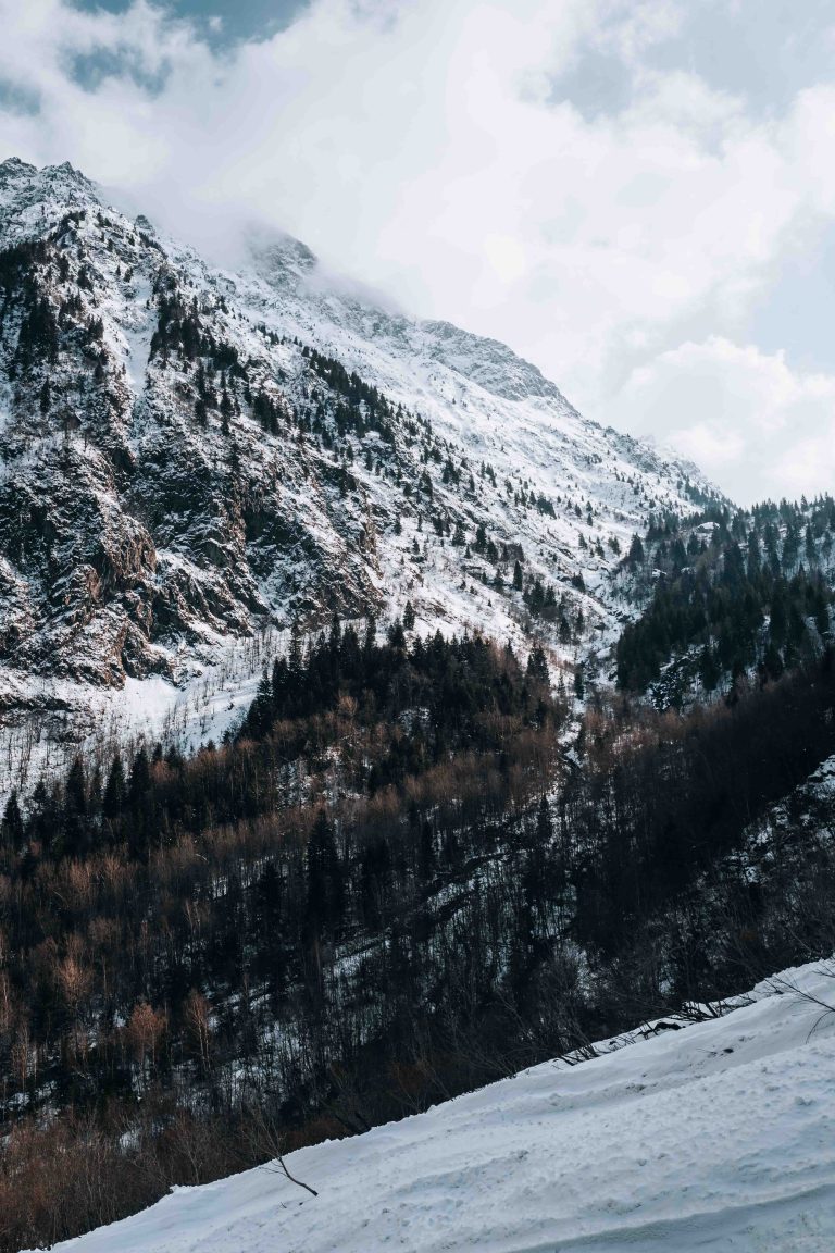 Paysage enneigé d'une montagne et sa forêt